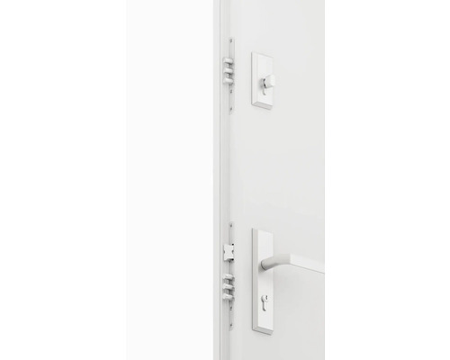 Dvere s kovaním a závorou