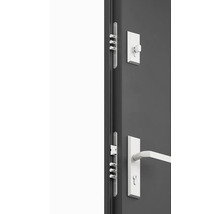 Bezpečnostné dvere s viacbodovým zamykaním a kovaním