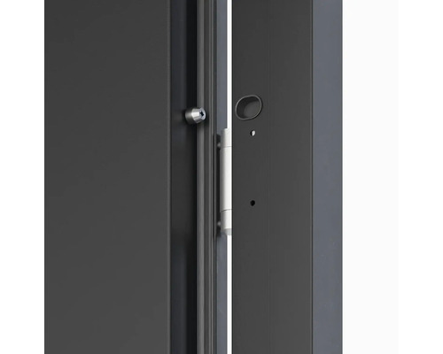 Detailný pohľad na dvere so zámkom a pántmi