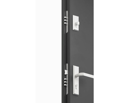 Detail dverí s viacbodovým zámkom a dverovým kovaním.