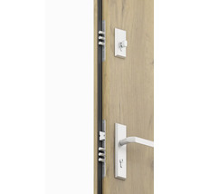 Dvere s viacbodovým zámkom a dverovým kovaním