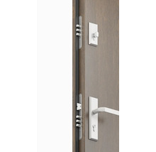 Dvere s viacbodovým zamykaním a dverovým kovaním