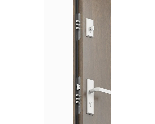 Dvere s viacbodovým zamykaním a dverovým kovaním