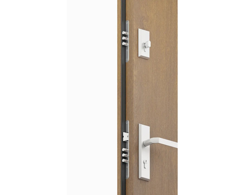 Dvere s viacbodovým uzamykaním a kovaním