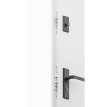 Bezpečnostné dvere s viacbodovým zamykaním a kľučkou