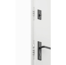 Dvere s bezpečnostným kovaním a viacbodovým zamykaním