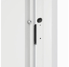 Detail interiérových dverí s kovaním