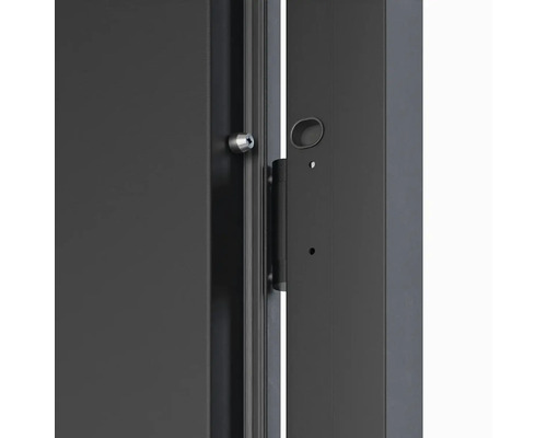 Detail dverí s kovaním a zámkom