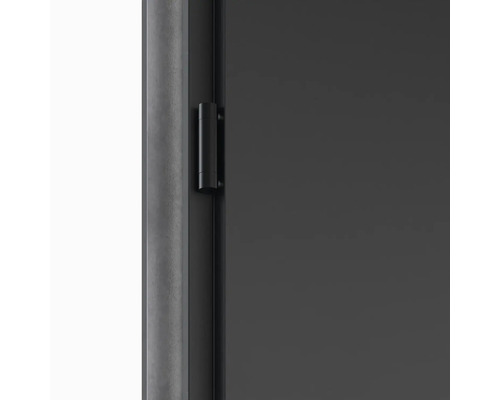 Detail dverí s kovaním