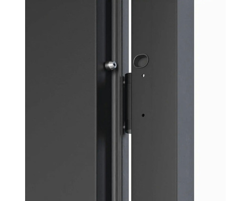 Detail interiérových dverí s kovaním a zámkom