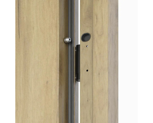 Detailný pohľad na dvere s kovaním