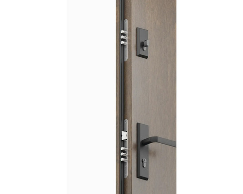 Dvere s viacbodovým zamykaním a dverovým kovaním