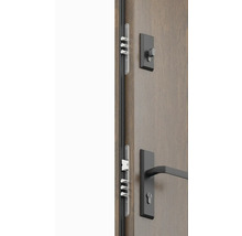 Dvere s viacbodovým zámkom a dverovým kovaním