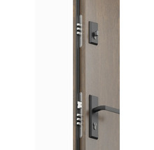 Detailný pohľad na vchodové dvere s viacbodovým zamykaním a kovaním