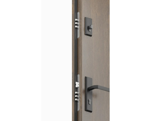 Detailný pohľad na vchodové dvere s viacbodovým zamykaním a kovaním