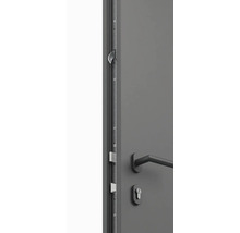 Detailný pohľad na vchodové dvere s kovaním a bezpečnostným zámkom