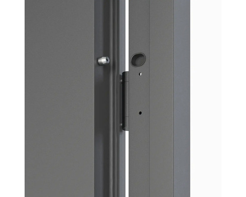 Detailný pohľad na dvere so zámkom, dverným závesom a kovaním