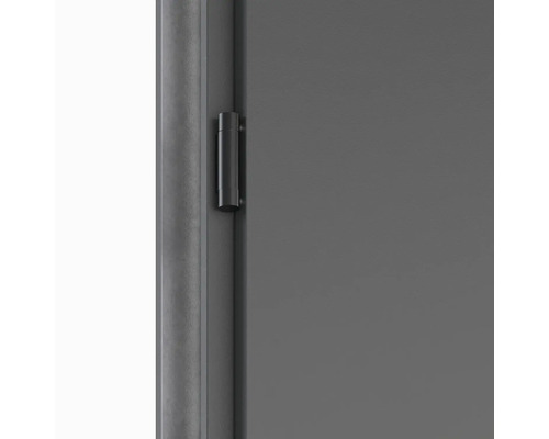 Detail dverí s kovaním