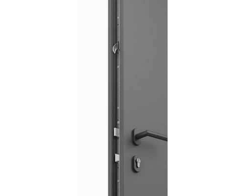 Detailný pohľad na vchodové dvere s viacbodovým zamykaním, kľučkou a cylindrickou vložkou