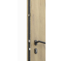 Detail drevených dverí so zámkom a kovaním