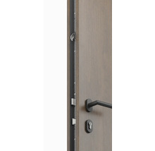 Detailný pohľad na vchodové dvere s viacbodovým zámkom a kovaním