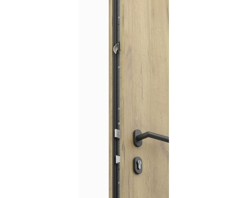 Detail dverí s kovaním, kľučkou a zárubňou