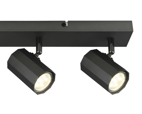 Stropné svietidlo s dvoma reflektormi