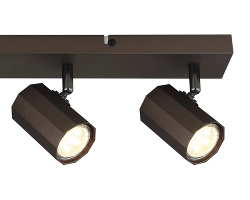 Stropné svietidlo s dvoma bodovými svetlami