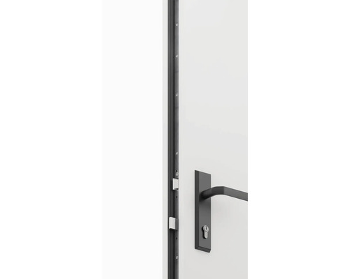 Detail dverí s kovaním a zámkom