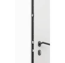 Detail dverí s kovaním a bezpečnostným zámkom