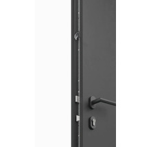 Detailný pohľad na dvere s kovaním a viacbodovým zamykaním