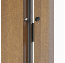 Detailný pohľad na otvorené dvere s kovaním a zámkom