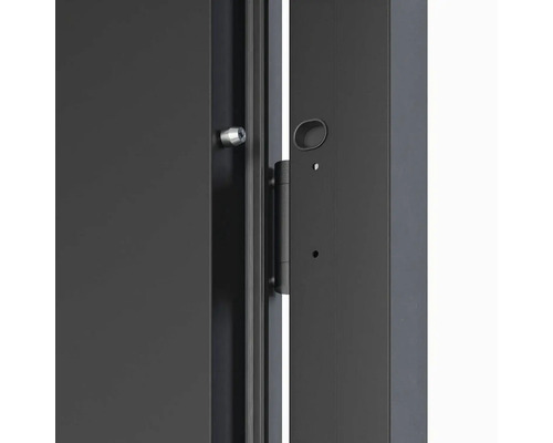 Detailný pohľad na sivé dvere s kovaním a pántmi