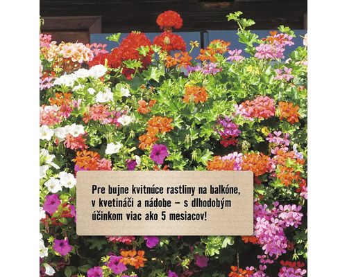 Kvitnúce rastliny v kvetináči na balkóne