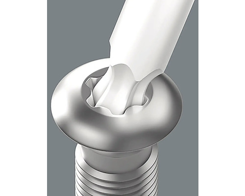 Skrutka s vnútornou hviezdicovou hlavou a používaným nástrojom