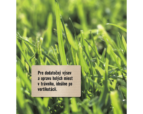 Detailný záber čerstvej trávy s upozornením na dosev a opravu holých miest
