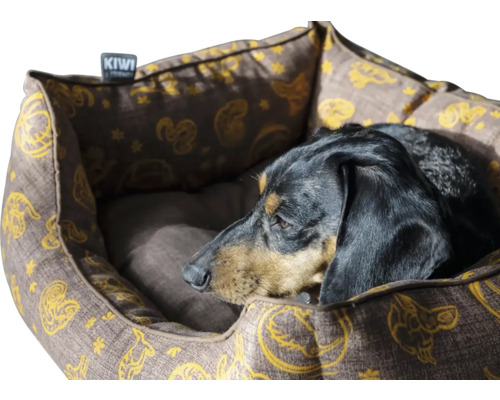 Pes leží v psej posteli