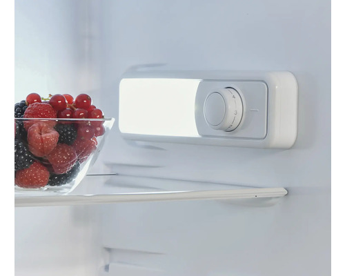 Vnútro chladničky s miskou s bobuľami a regulátorom teploty