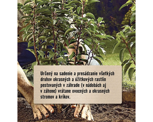 Osoba sadí okrasné a úžitkové rastliny v záhrade.