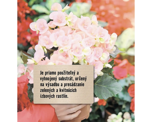 Kvetináč s ružovými kvetmi a nápisom o substráte pre izbové rastliny