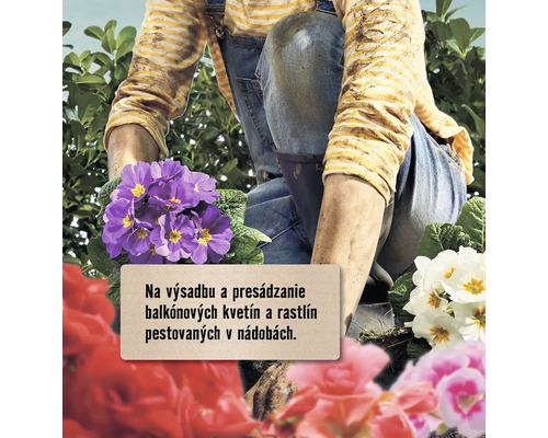 Osoba sadí balkónové kvety.