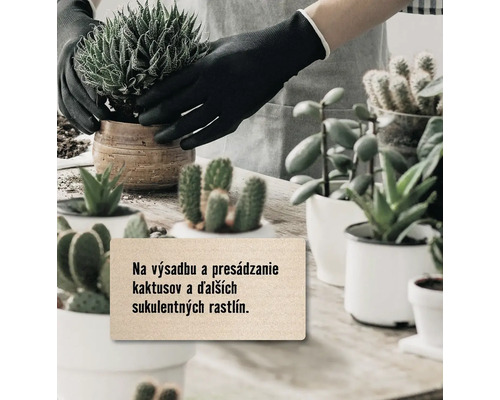 Osoba sadí sukulenty v záhradných rukaviciach do kvetináčov.