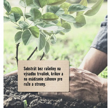 Sadenie stromu so zeminou bez rašeliny