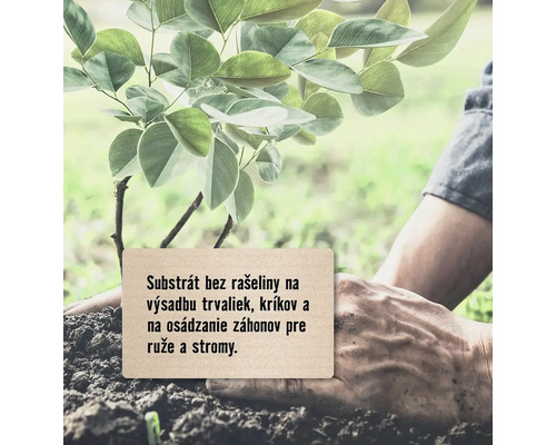 Sadenie stromu so zeminou bez rašeliny