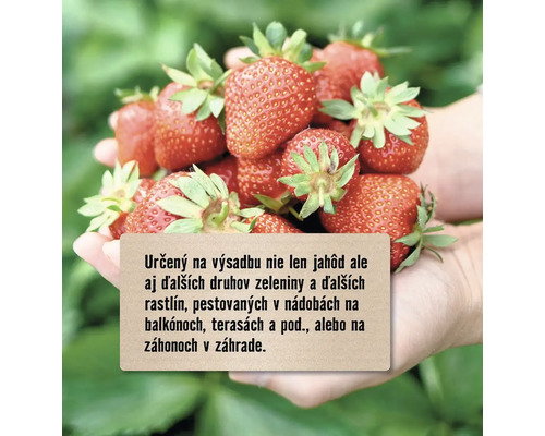 Hrsť jahôd, čerstvé záhradné ovocie