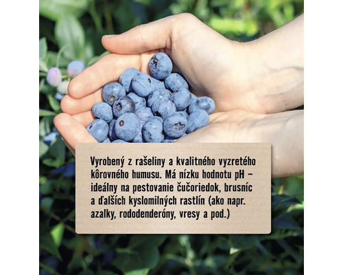 Hŕsť čučoriedok s informáciami o produkte v popredí.