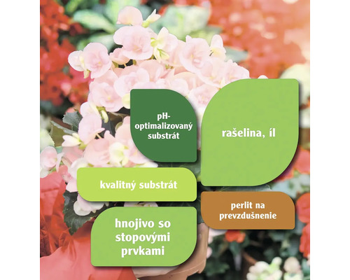 Grafika s informáciami o substráte s optimalizovaným pH, kvalitnom substráte, rašeline, ílu, hnojive so stopovými prvkami a perlitu na prevzdušnenie.