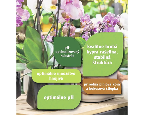 Informácie o substráte pre orchidey: pH optimalizované, kvalitná hrubá kyprá rašelina, stabilná štruktúra, optimálne množstvo hnojiva, optimálne pH, prírodná píniová kôra a kokosová štiepka