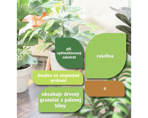 Informácie o zložkách zeminy pre kvetiny vrátane substrátu s optimálnym pH, rašeliny, hnojiva so stopovými prvkami a ílového granulátu.