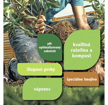 Záhradnícka scéna s pH optimalizovaným substrátom, kvalitnou rašelinou a kompostom, stopovými prvkami, vápencom a špeciálnym hnojivom.